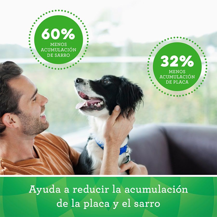 Greenies Grain Free Snack Dental para perros 170 gr Imagen numero 3